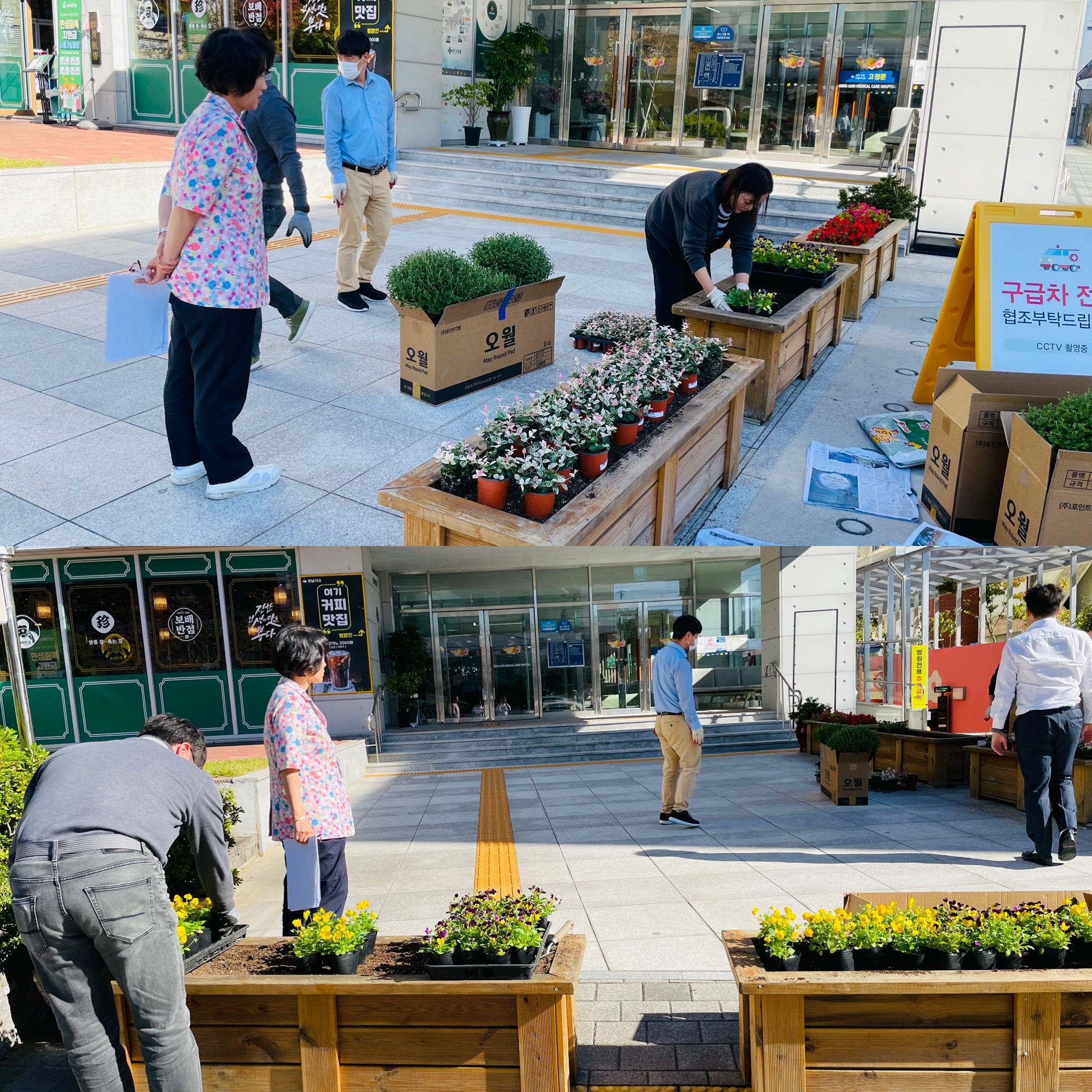 병원화단꾸미기